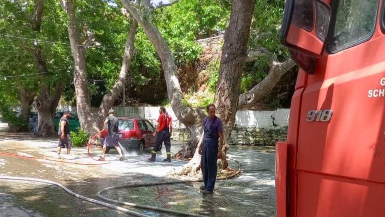 Στο Καραβόσταμο με φροντίδα και μόχθο γιόρτασαν την Παγκόσμια Ημέρα Περιβάλλοντος