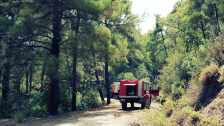 Συμπληρωματική επιτήρηση των δασών με εθελοντικές ομάδες σχεδιάζει ο Δήμος Ικαρίας